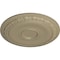 Ekena Millwork Caputo Ceiling Medallion (Fits Canopies up to 6"), Hand-Painted Gobi Desert, 24 1/4"OD x 1 1/2"P CM24CAGDF - alternate 3